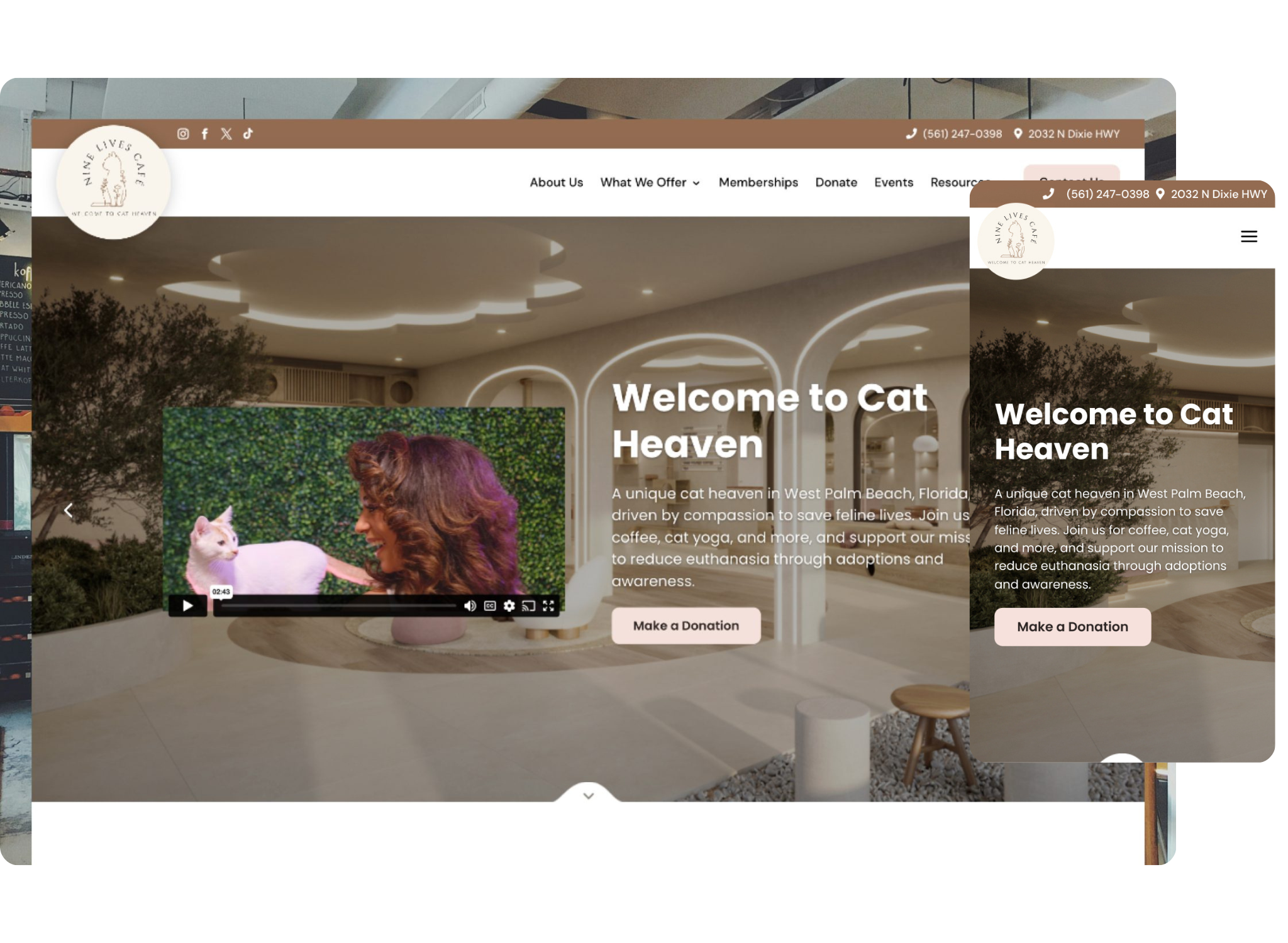 Nine Lives Cafe project